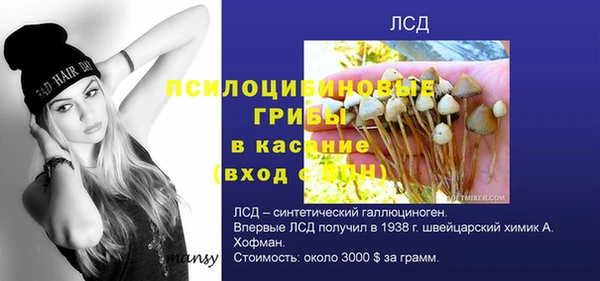 герыч Алексеевка