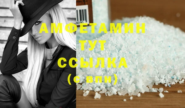 ECSTASY Алзамай