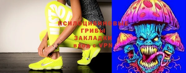 ECSTASY Алзамай