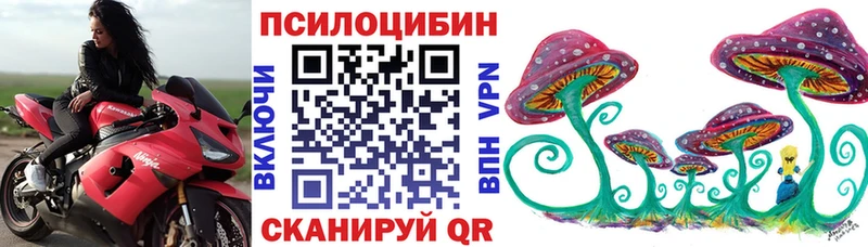 Галлюциногенные грибы MAGIC MUSHROOMS  Юрьев-Польский 
